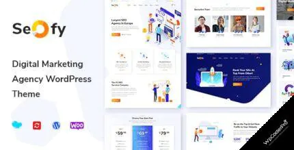 Seofy WordPress Theme