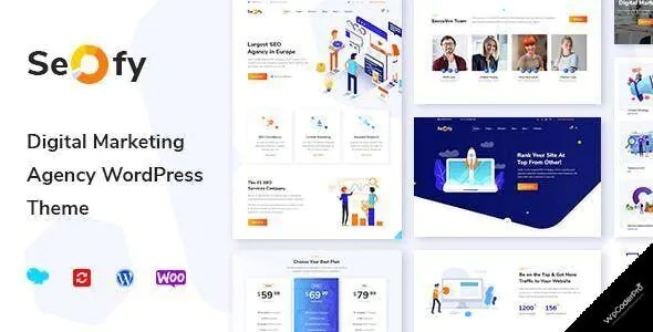 Seofy WordPress Theme