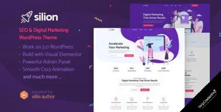 Download Silion – Digital Marketing WordPress Theme v1.0