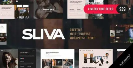 Sliva WordPress Theme