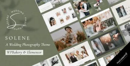 Solene WordPress Theme