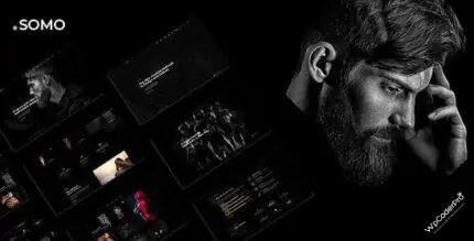 Download Somo – Creative MultiPurpose WordPress Theme v1.0.0