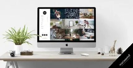 Download Sugarland – Contemporary Portfolio for Creatives that Stands Out WordPress Theme v1.0.2