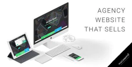 The SEO WordPress Theme