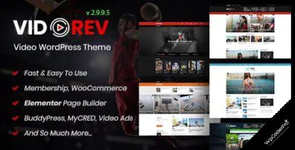 VidoRev WordPress Theme